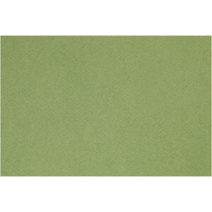 Fransk kartong, A4, ark 210x297 mm, 160 g, apple green, 1 ark
