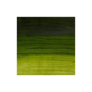 Artisan vattenblandningsolja 37ml permanent sap green 503