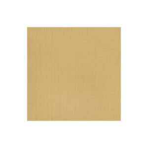 Proff. akryl 60ml buff titan 060