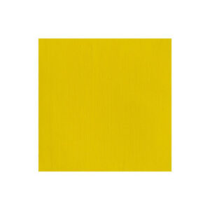 Proff. akryl 60ml kadmiumgult ljus 113