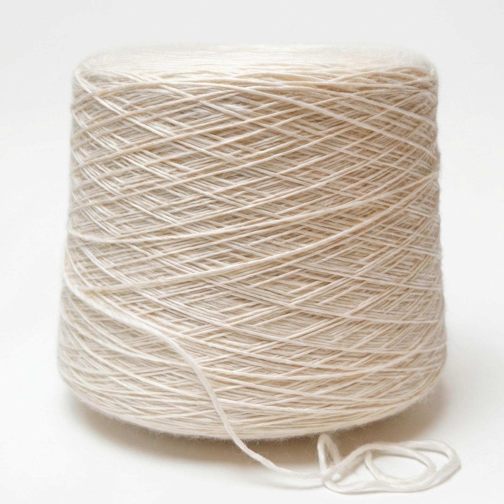 Annelise (1,4 kg) - Vit