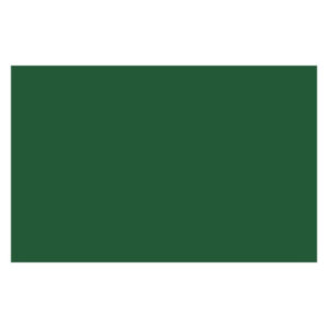 Ac Spray 400Ml Chromium Oxide Green 0166