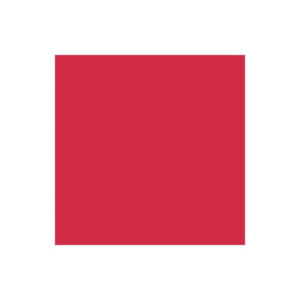 Brush Marker Berry Red R665