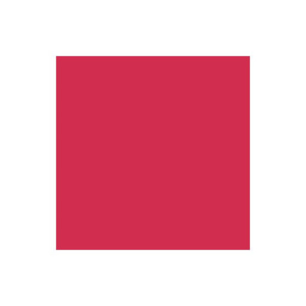 Brush Marker Ruby R455