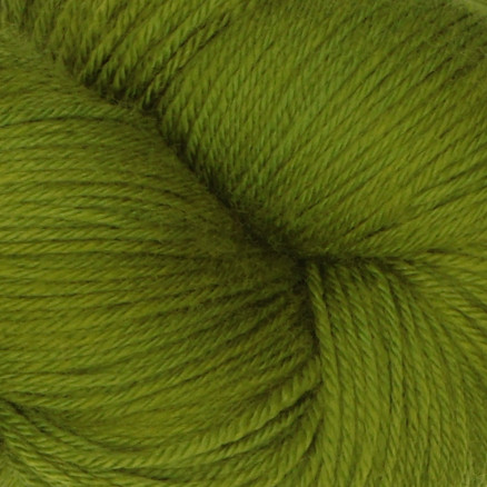 Symfonie Yarns Terra Garn 2021 Regnskogen